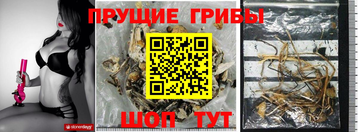 Котлас  цена наркотик  Вход с VPN  Галлюциногенные грибы Cubensis 